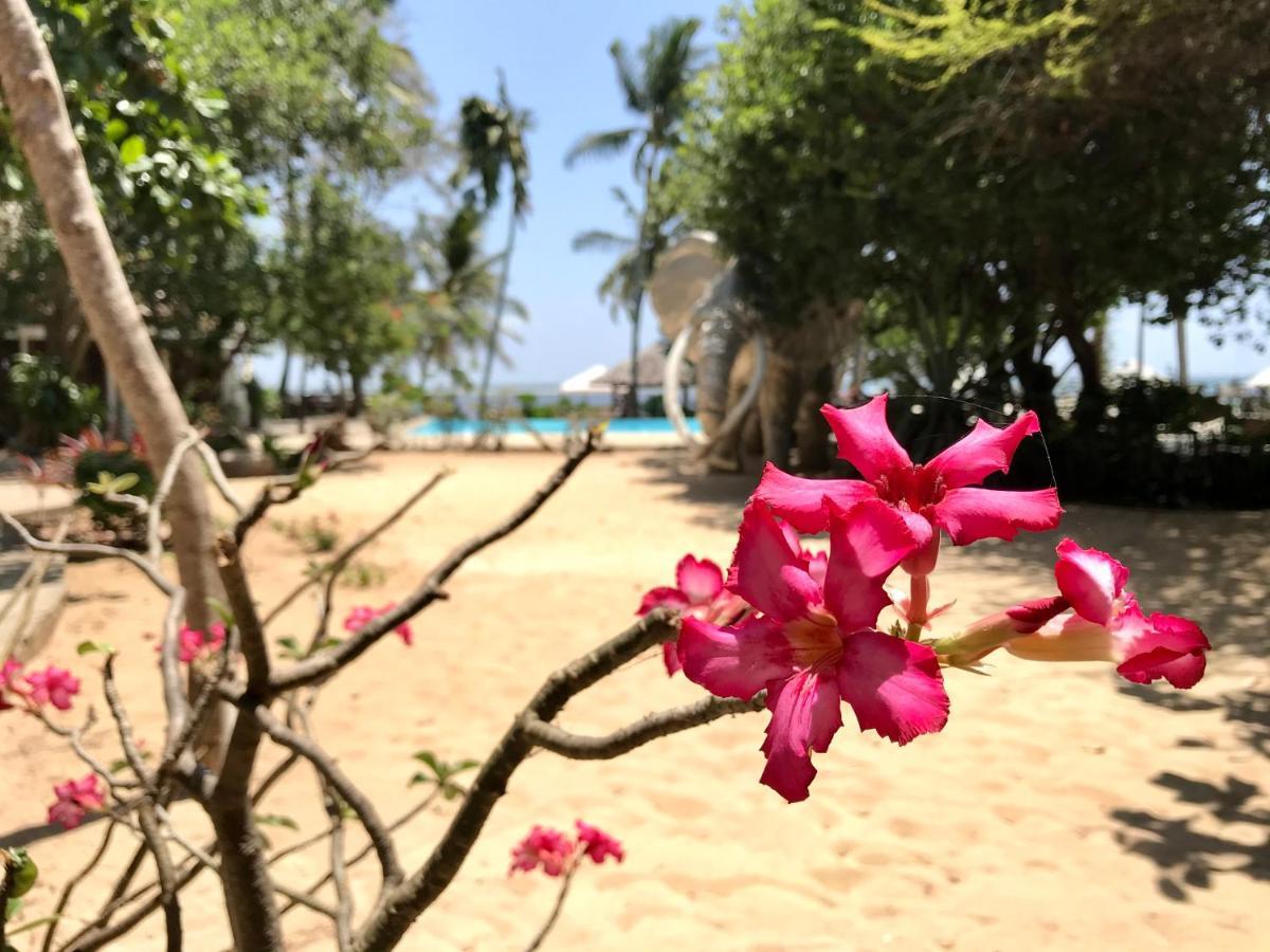 White Elephant Sea Lodge Malindi Exterior photo